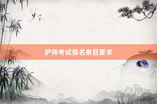 护师考试报名条目要求