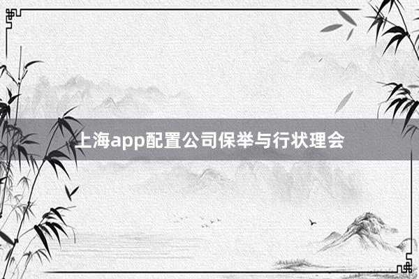 上海app配置公司保举与行状理会